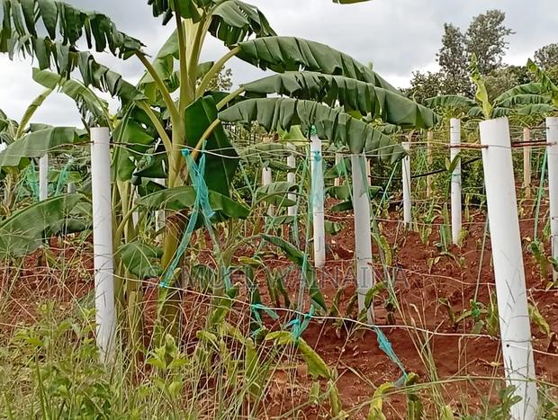 Plots for Sale - thumbnail 3