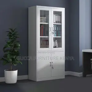 2-door Metallic Glass Front Filling Cabinet