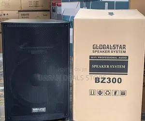 Bz300 15inches No Amplifire Speaker System
