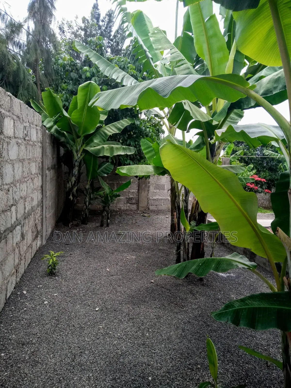 3bdrm Bungalow in Kaurrai, Matasia for sale