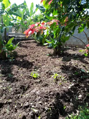 3bdrm Bungalow in Kaurrai, Matasia for sale