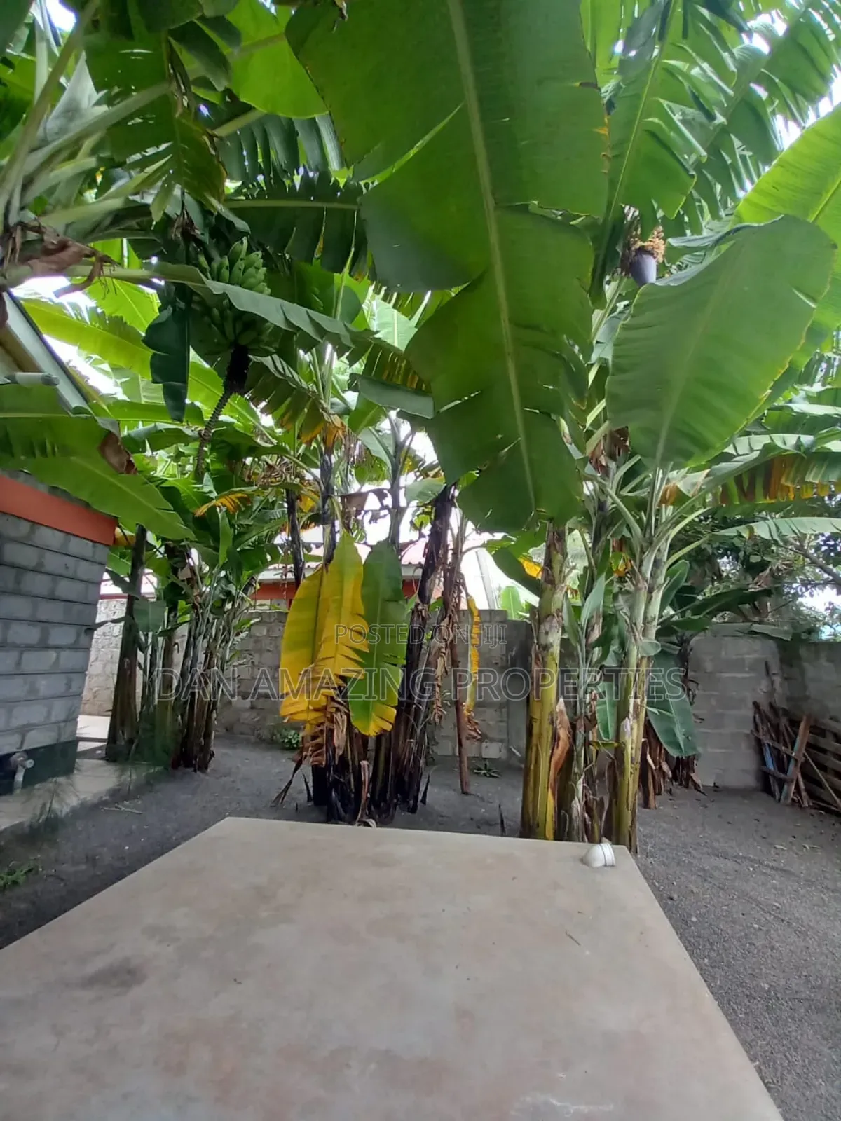 3bdrm Bungalow in Kaurrai, Matasia for sale