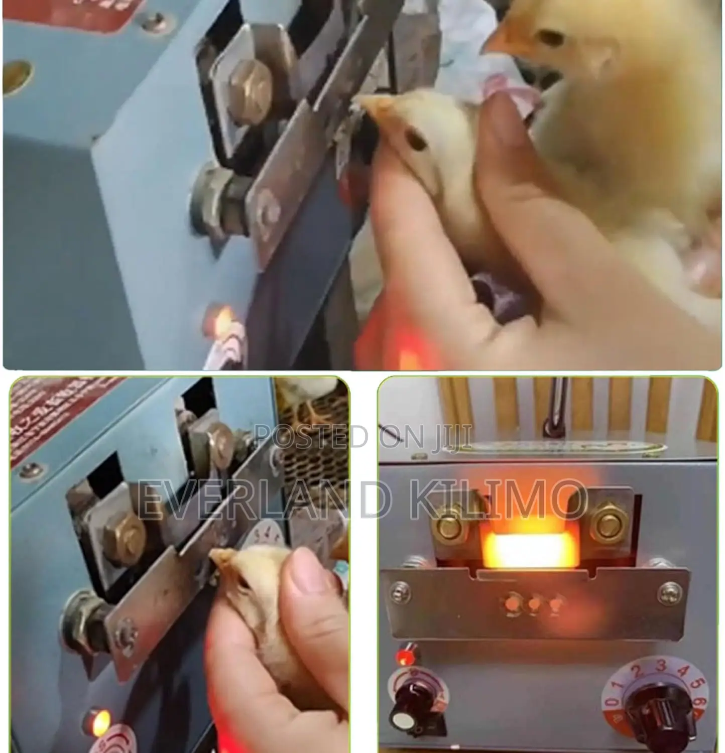 Automatic Beak Cutter