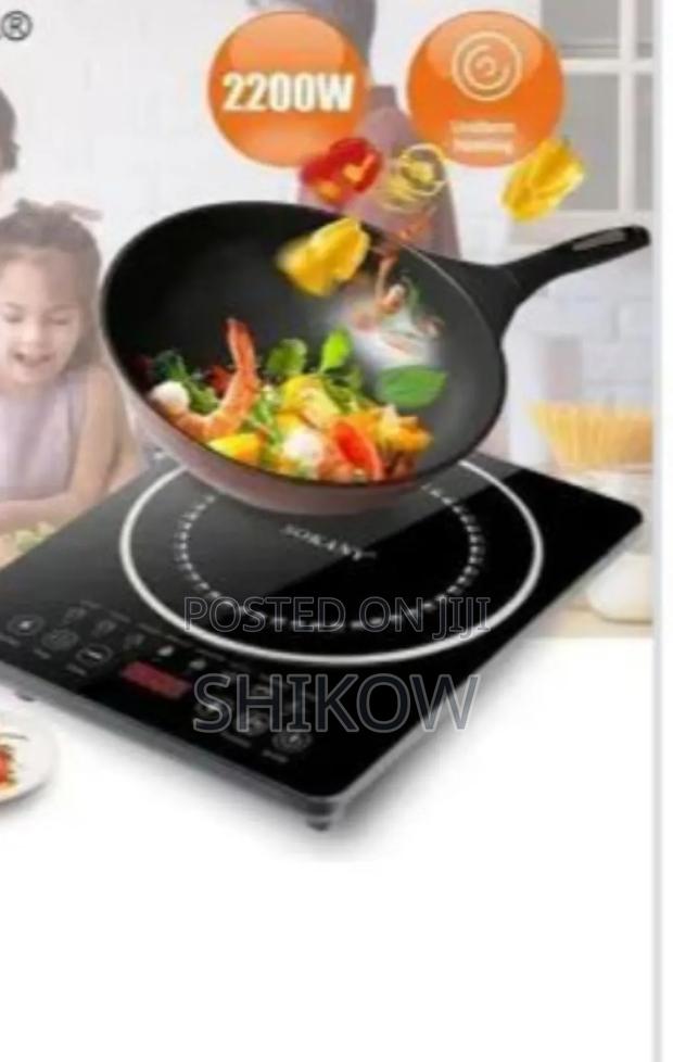 Portable Electric Induction Stove