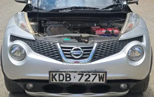 Nissan Juke 2013 Silver