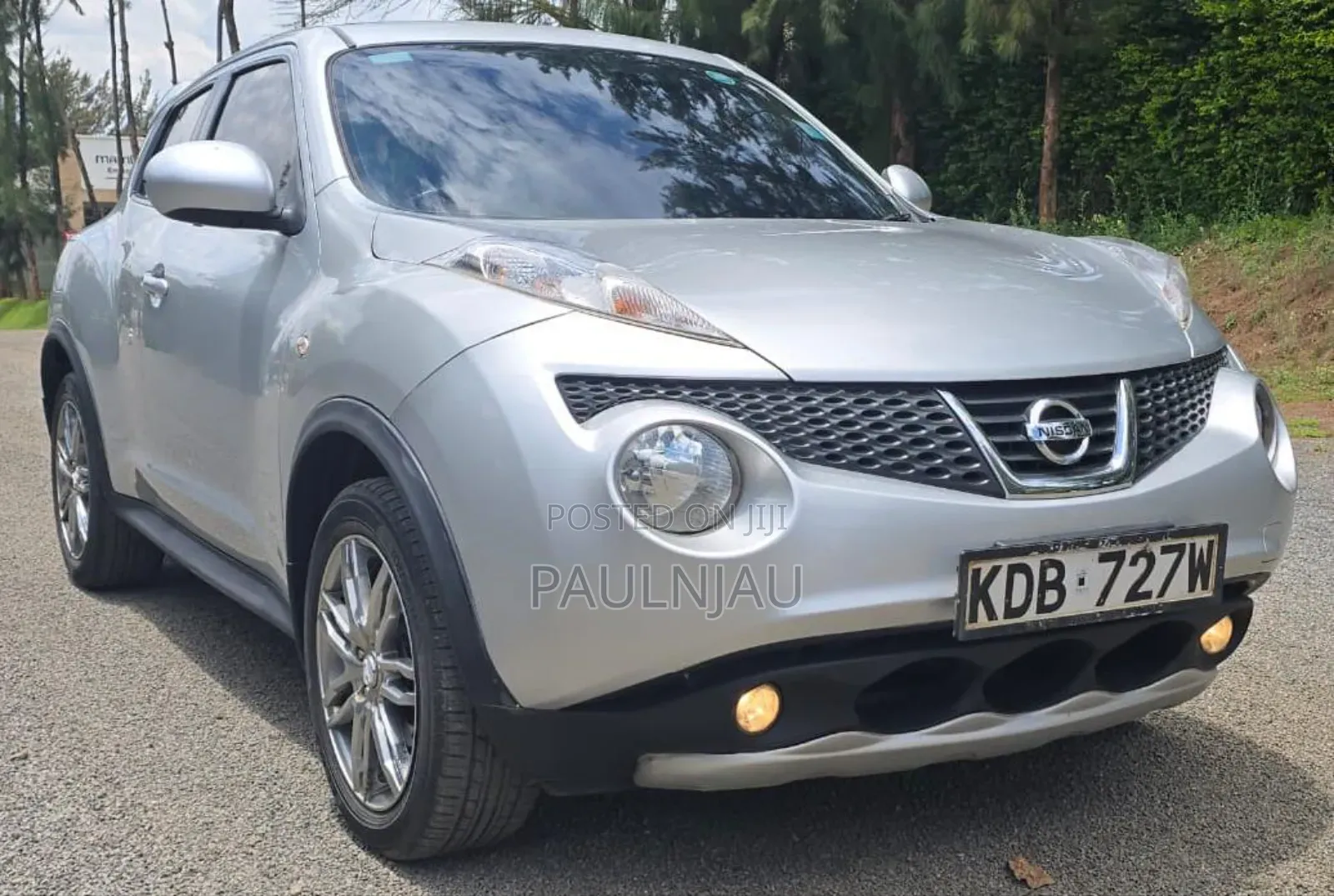 Nissan Juke 2013 Silver
