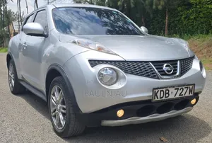 Nissan Juke 2013 Silver