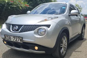 Nissan Juke 2013 Silver