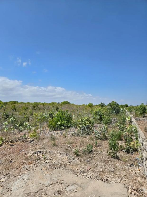 Beach Plot - thumbnail 5