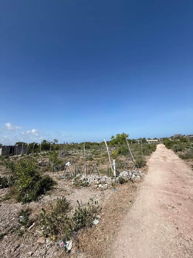 Beach Plot - thumbnail 8