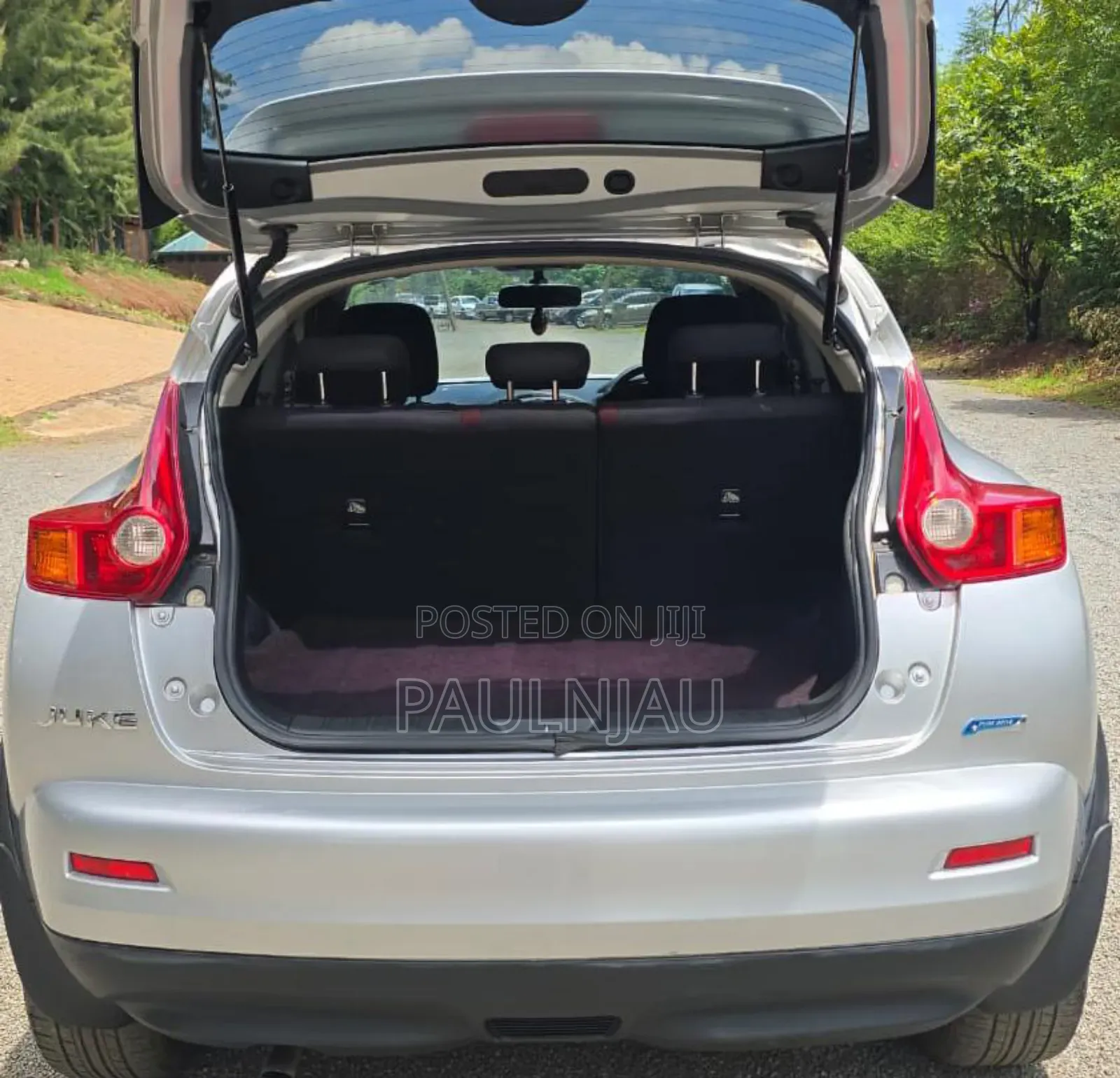 Nissan Juke 2013 Silver