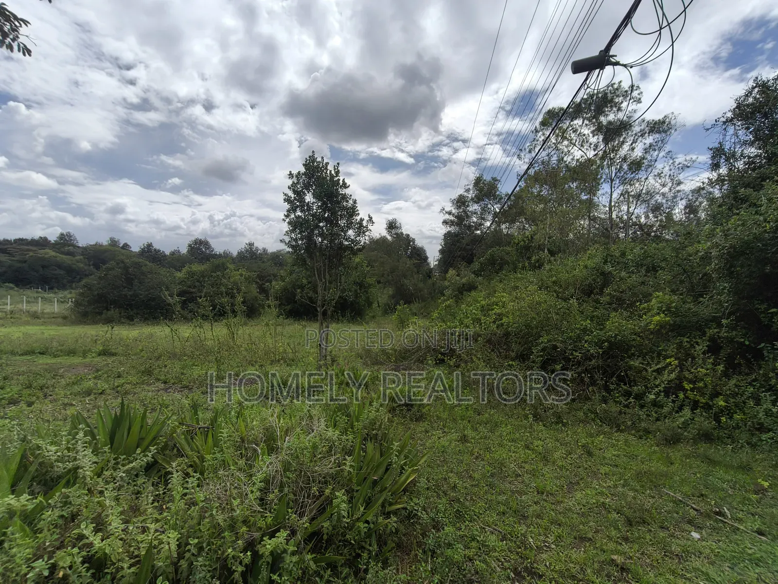 One Acre Piece of Land for Sale in Karen, Nairobi, Touching Tarmac