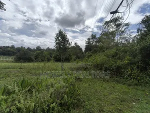 One Acre Piece of Land for Sale in Karen, Nairobi, Touching Tarmac