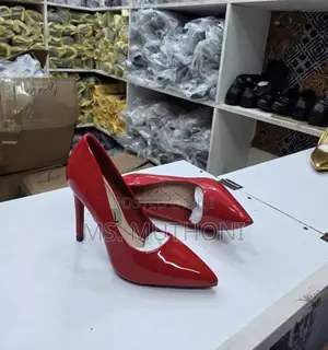 Ladies Ponted Pumps (Casual / Official )