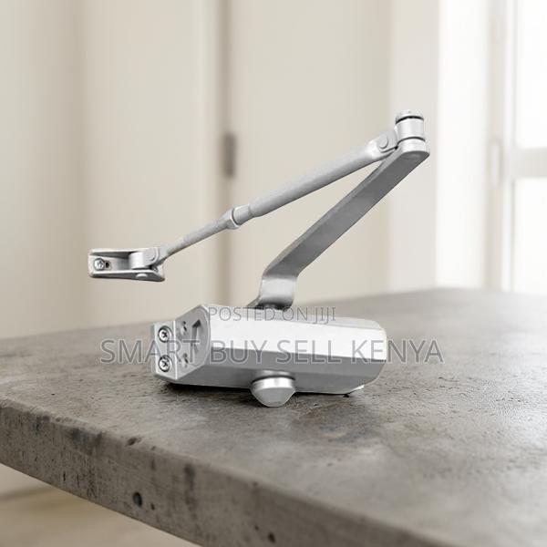 Dual Valve Adjustable Automatic Door Closer Closure Closing Device - main view