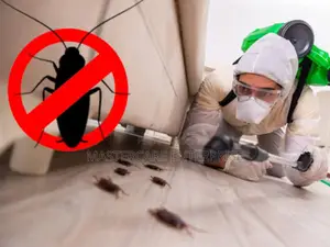 Professional Cockroaches Extermination in Nairobi