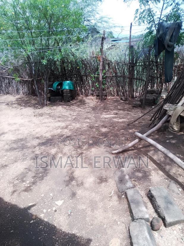 Land Plot for Sell - thumbnail 3