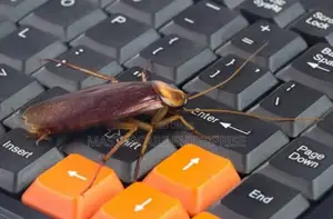 Cockroaches Control and Extermination in Nairobi