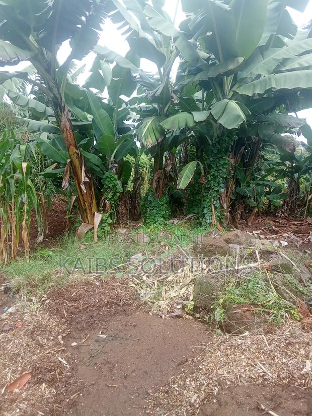 Prime Plot for Sale at Muchatha 6.5m 100mtrs From Tarmac - thumbnail 3