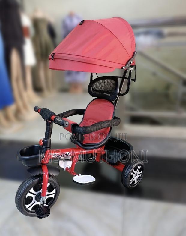 Caged Kids Tricycle With a Canopy - main view