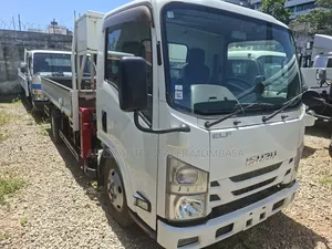 Isuzu Elf 3t Crane 2019