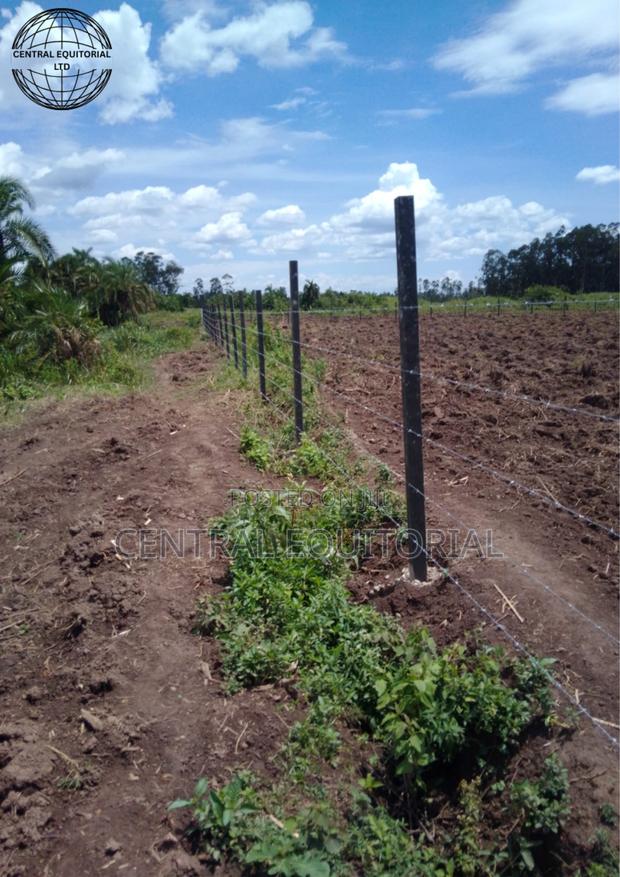 Eco Fencing Posts - thumbnail 2