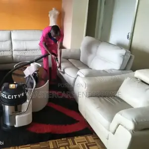 Leather Sofa Cleaning Services