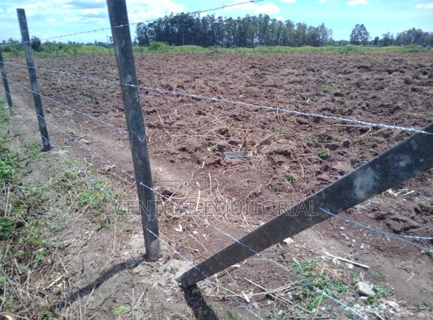 Eco Fencing Posts - thumbnail 6