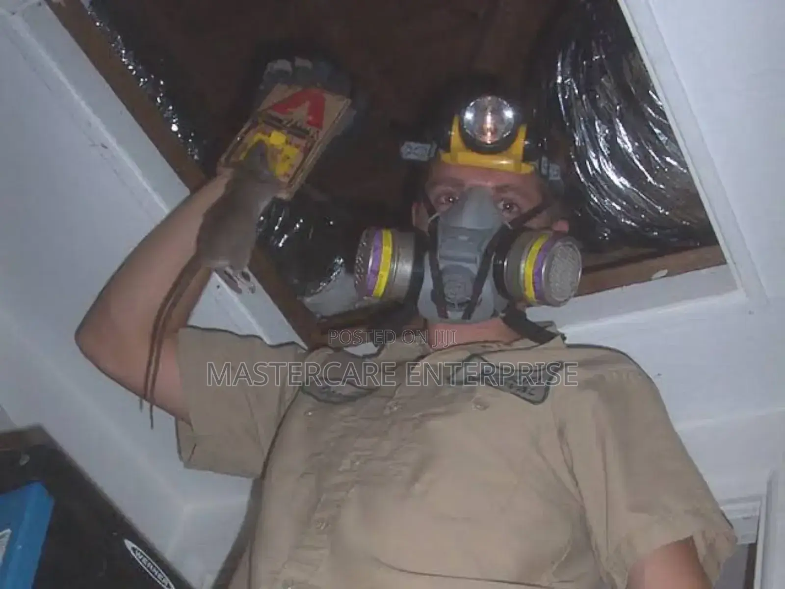 Ceiling Rats Extermination Services