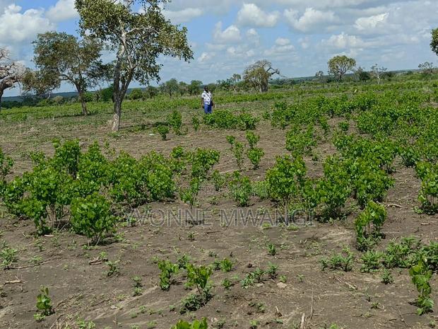 We Sell Genuine Lands - main view