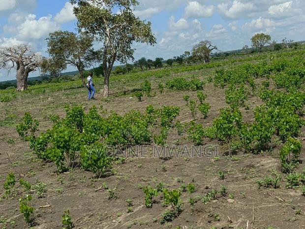 We Sell Genuine Lands - thumbnail 4