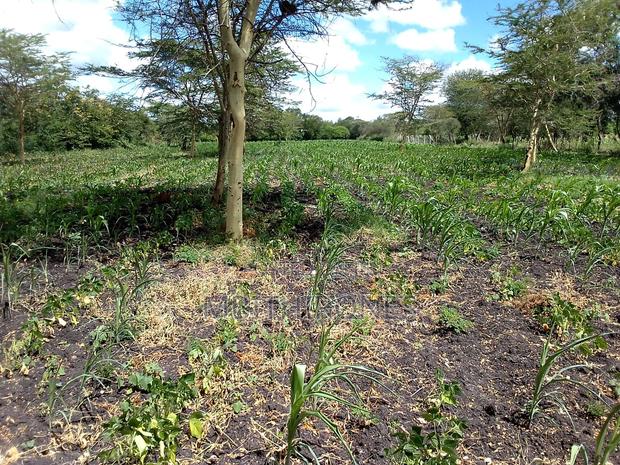 Matuu Kithyumuoni Land for Sale