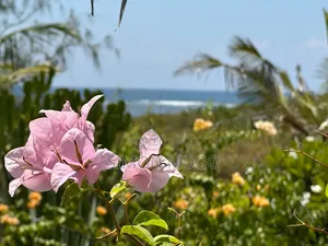 Lamu Prime 512 Acres Fronting the Ocean