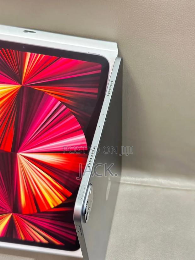 New Apple iPad Pro 11 (2024) 512 GB Gray - thumbnail 2