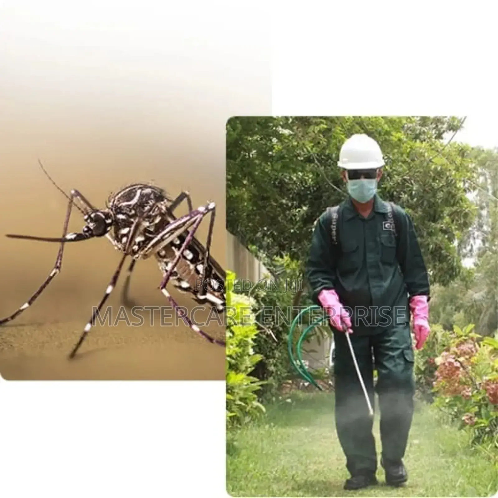 Mosquitoes Control Services