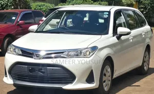 Toyota Corolla Fielder 2019 White