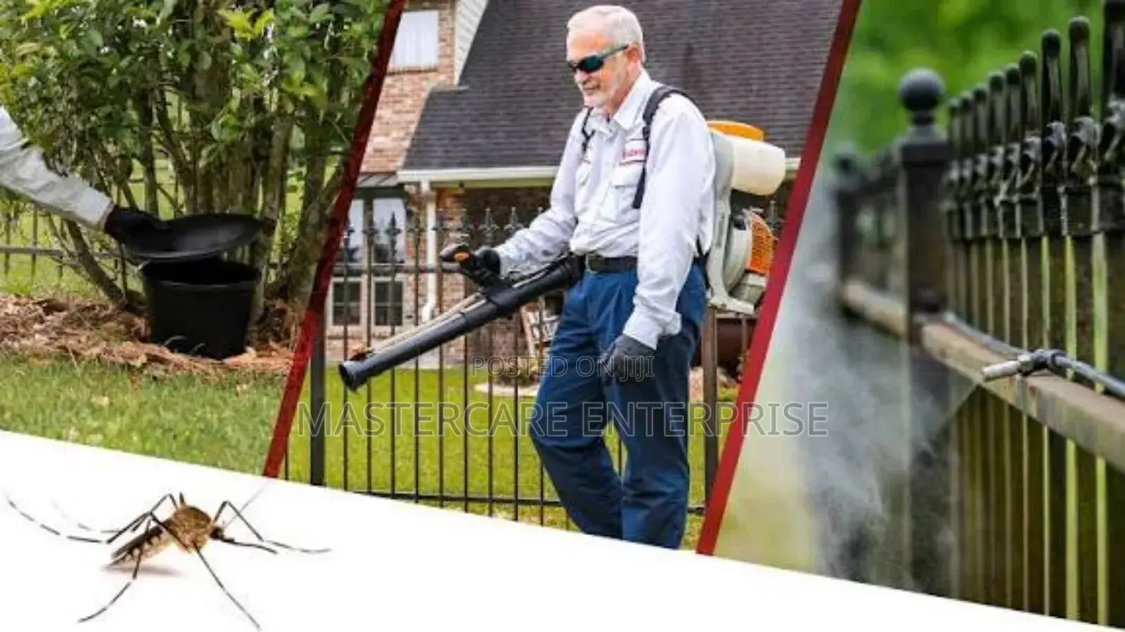 Smoke Mosquitoes Fumigation Services