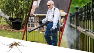 Smoke Mosquitoes Fumigation Services