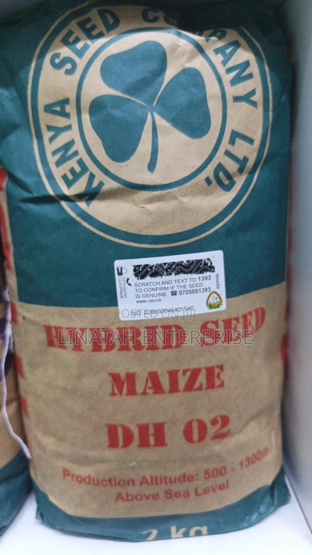Dh 02 2kg Maize Seeds