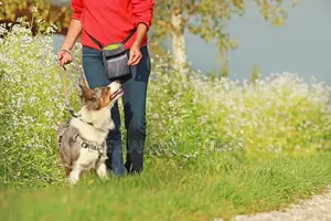 Durable Treat Pouch