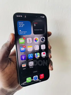 Apple iPhone 15 Pro Max 256 GB Silver