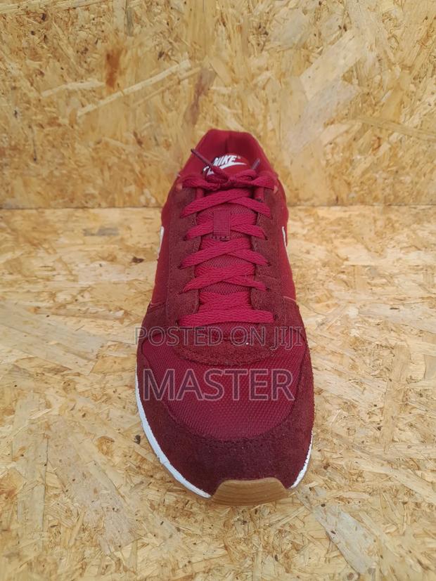 Nike Pegasus Edition - main view