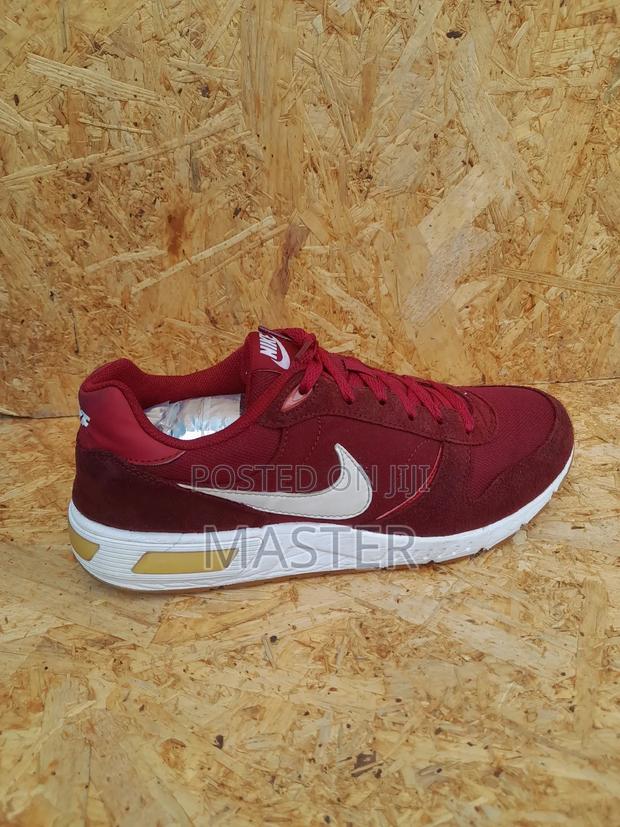 Nike Pegasus Edition - thumbnail 3