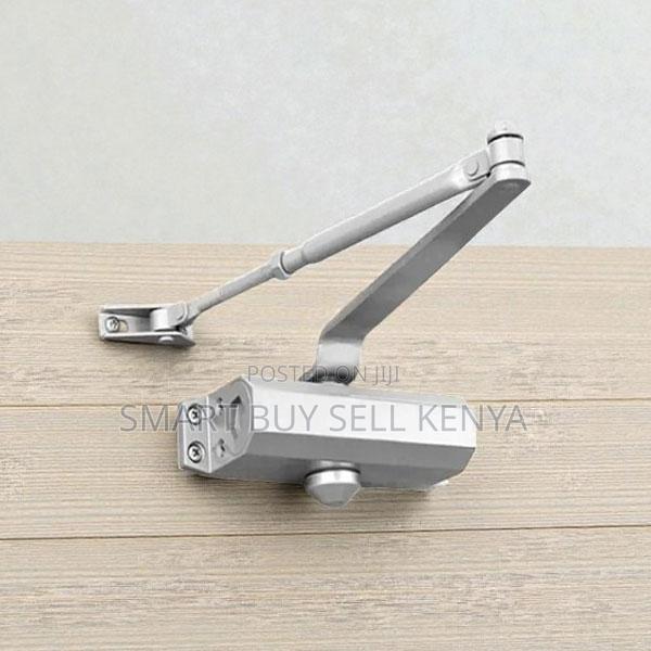 Silver Painting Body Adjustable Automatic Door Closer Closing Device - main view