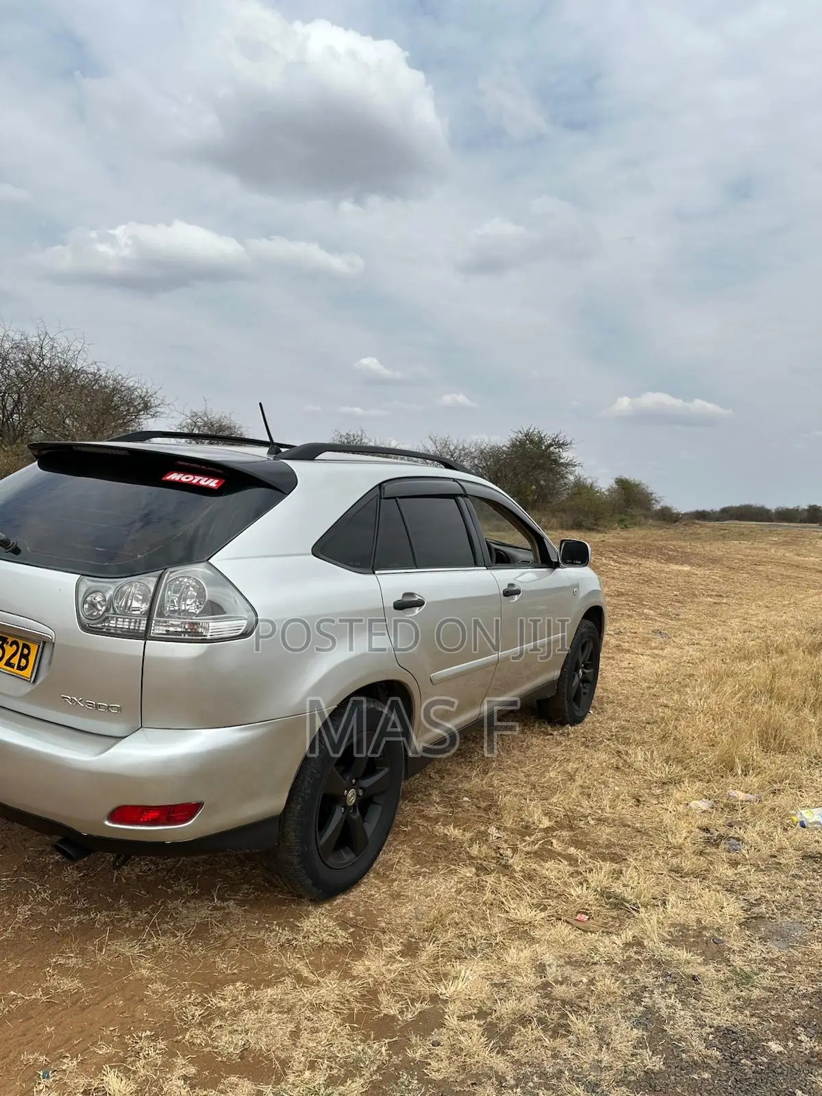 Lexus RX 300 2003 Silver