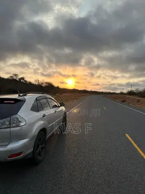 Lexus RX 300 2003 Silver