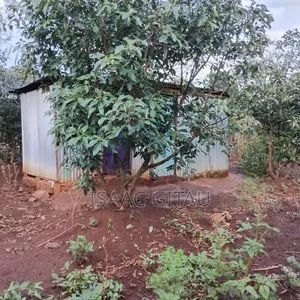 Plot for Sale in Nyeri Town
