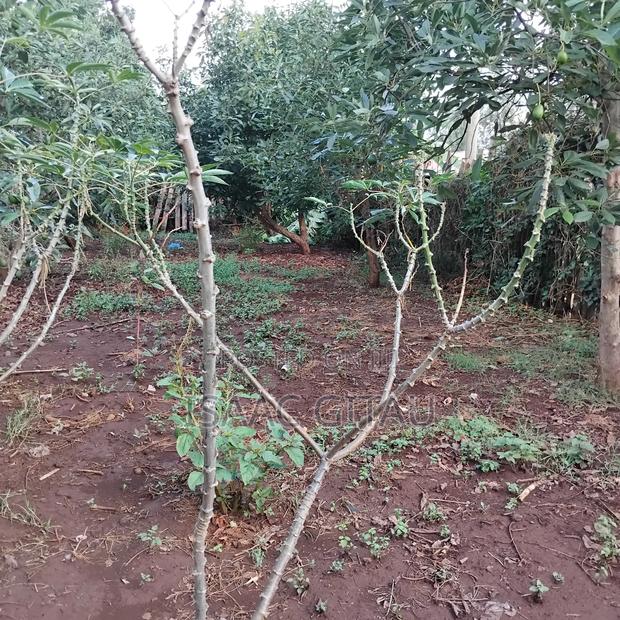 Plot for Sale in Nyeri Town - thumbnail 2