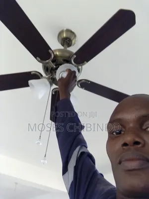 Wiring and Other Electrical Services