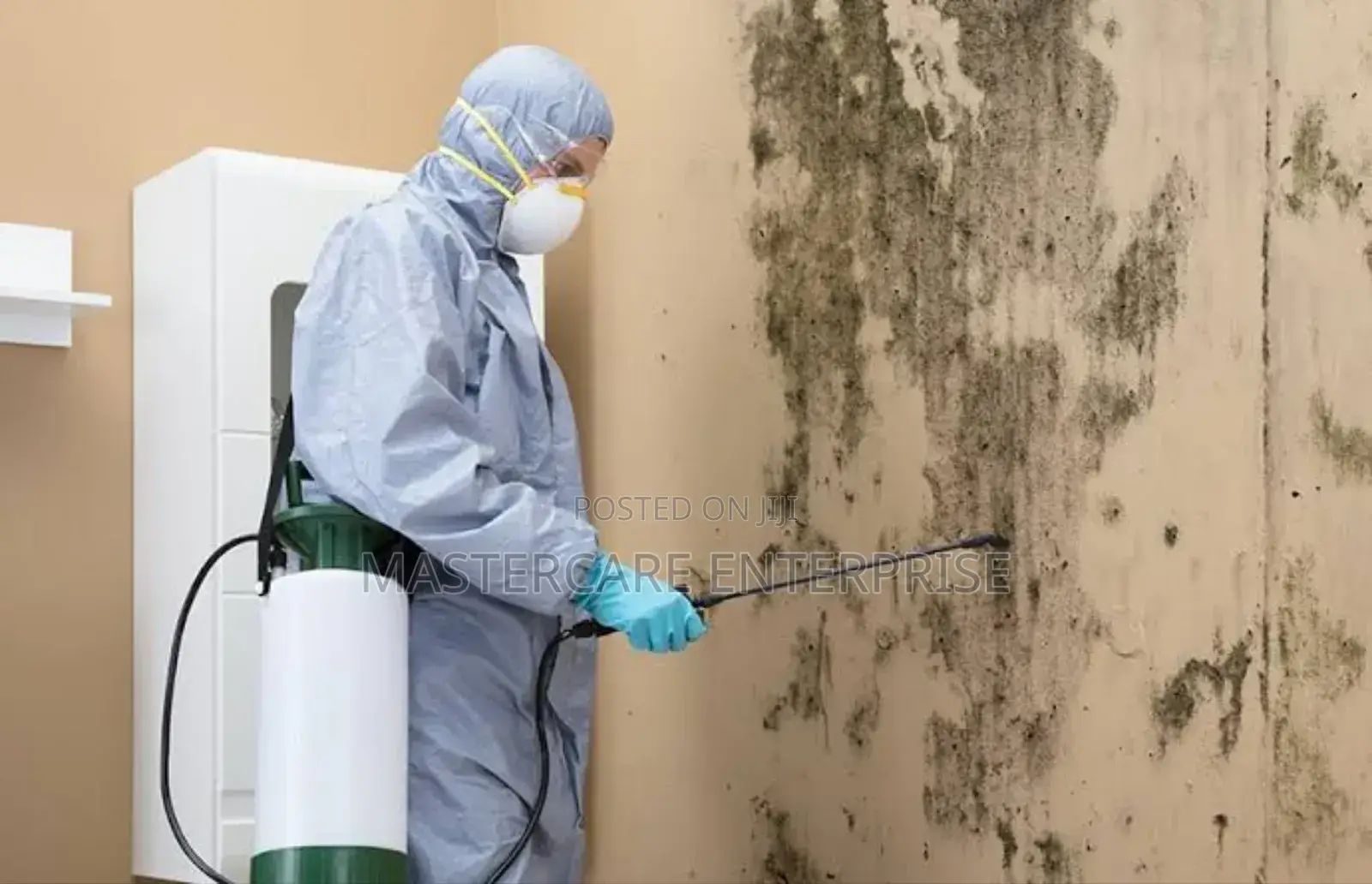 Molds Removal Services